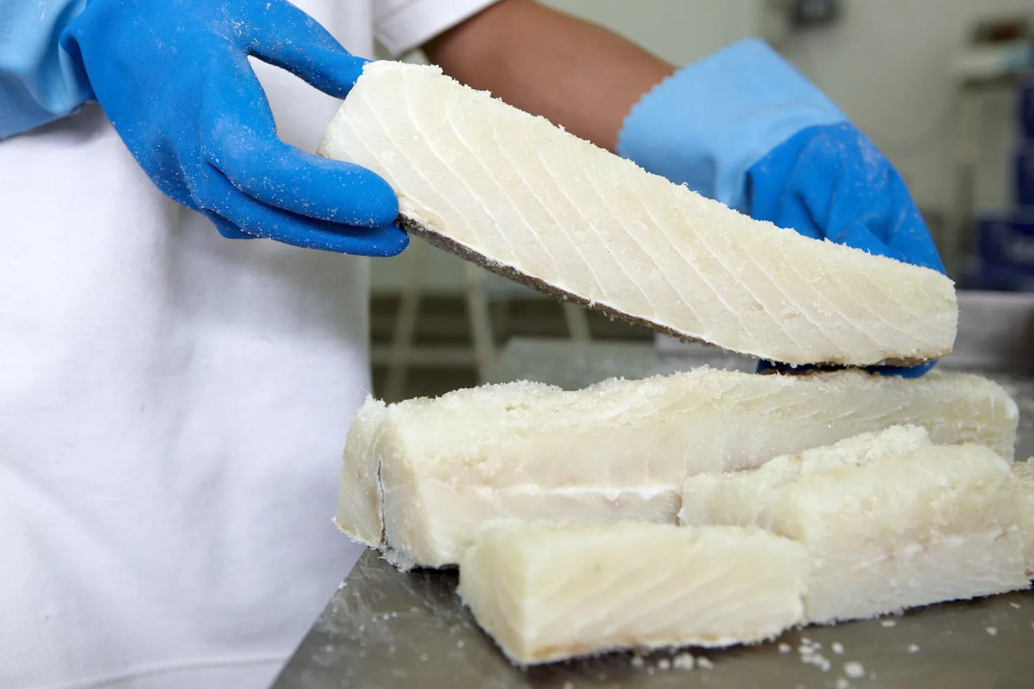 Salt cod loins, refrigerated and frozen salt cod distribution