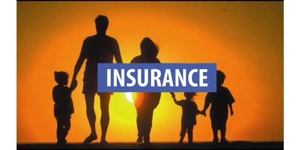 What are the three main components of an insurance policy?